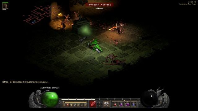 Diablo II Resurrected #28