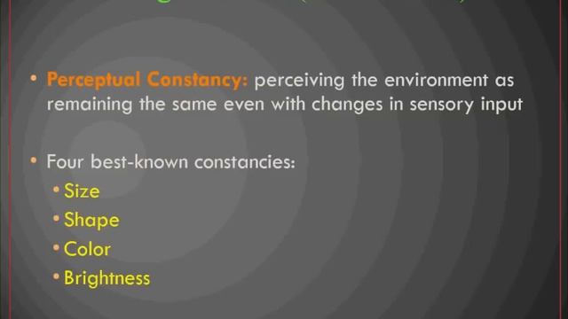 /r/IntroPsych Perceptual Organization смотреть онлайн