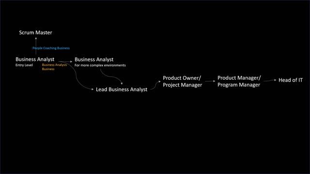 I quit my Business Analyst Job! The Best Career Paths for Business Analysts? смотреть онлайн