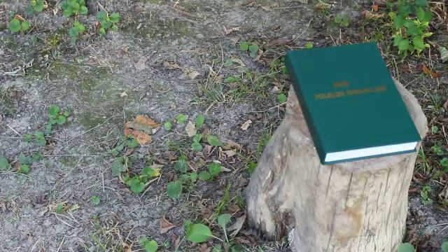 Ответы на Ваши вопросы (на Азербайджанском языке) смотреть онлайн