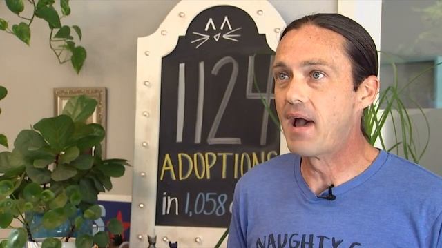 Chattanooga business asked to remove sign, violates city code смотреть онлайн
