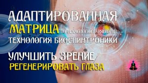 Поддержка зрения 🎶 программа матрица по технологии Гаряева П.П ☀️ SoftRadio.ru