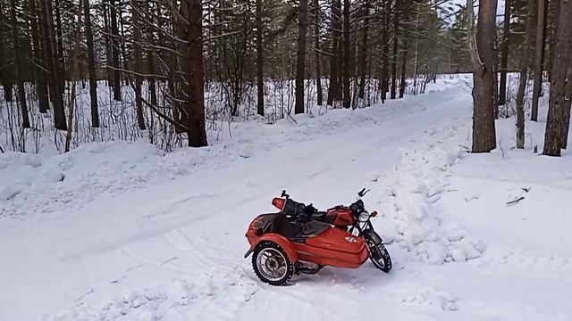 остановка в лесу смотреть онлайн