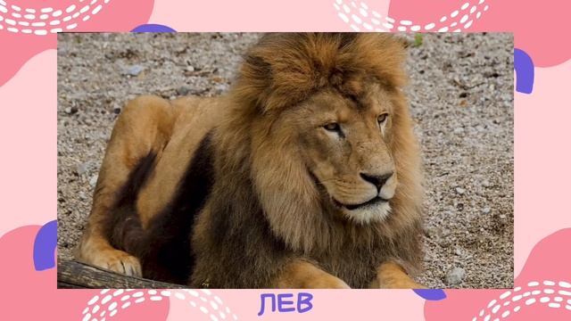 Мои первые слова. Видео для малышей от 0 до 5 лет. смотреть онлайн