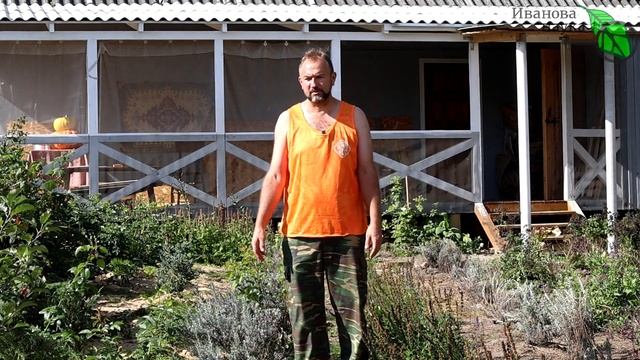 БАНКИ ПОД ШУБОЙ. Мудрые хозяйки консервируют именно так. смотреть онлайн