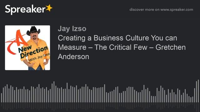 Creating a Business Culture You can Measure – The Critical Few – Gretchen Anderson смотреть онлайн