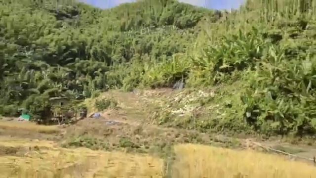 Favah tel lovin Khawl ngei in Buh an seng ve ta. смотреть онлайн