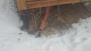 Слив в бане и приток воздуха в парную. Мыло, мыло, мыло...