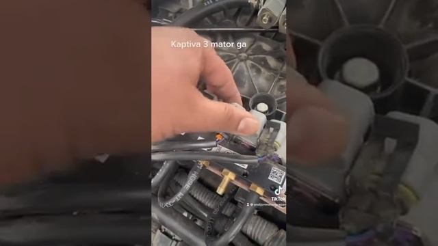 22 декабря 2022 г. смотреть онлайн