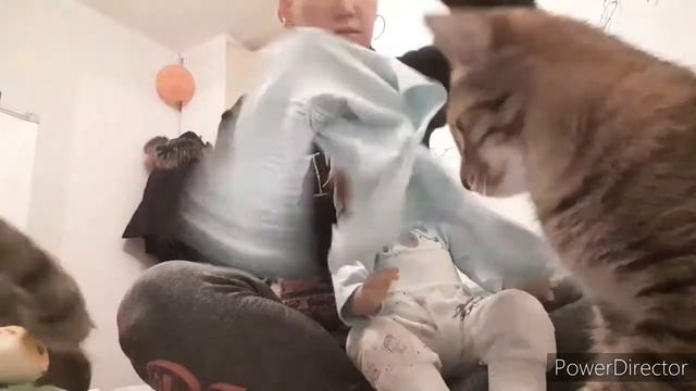 Vlog: ПОВСЕДНЕВНАЯ ЖИЗНЬ!! 15.11.20. смотреть онлайн
