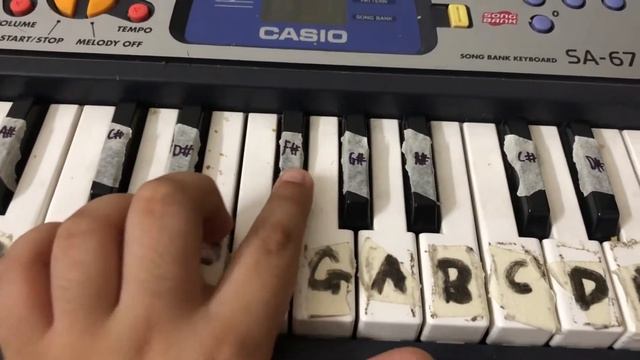 Yankee Doodle CASIO Piano SA - 67 Notes смотреть онлайн