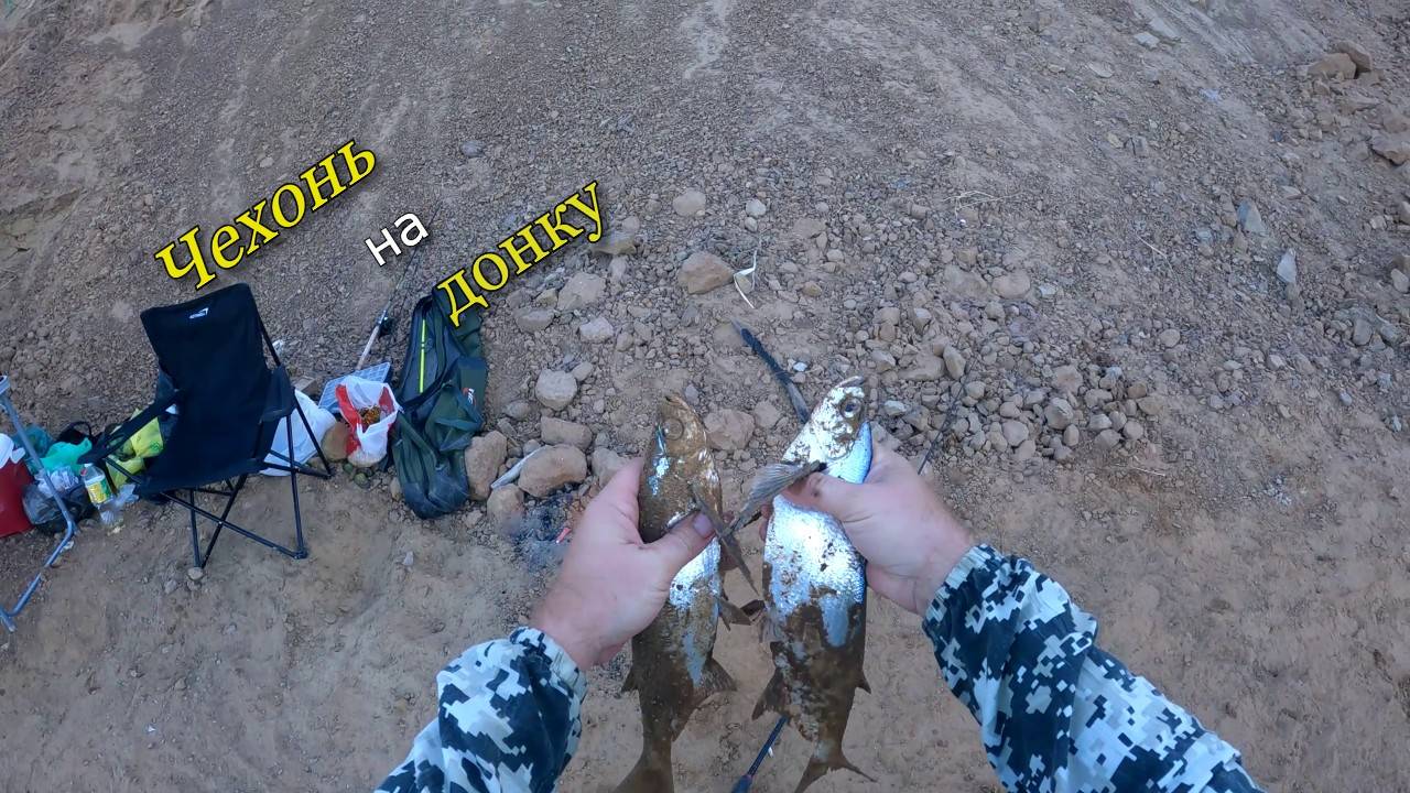 Ловля ЧЕХОНИ на донку смотреть онлайн