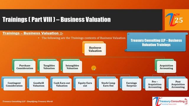 Corporate Presentation - Treasury Consulting LLP смотреть онлайн