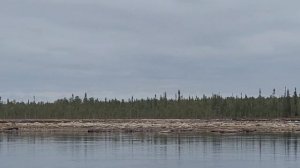 Рыбалка на Кольском Полуострове.  Озеро Пиренга. В поиске рыбы.
