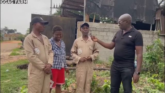 Palm Kernel Oil Production. #africa #mixedfarming #nigeria #kenya #uganda #africandiaspora #palm