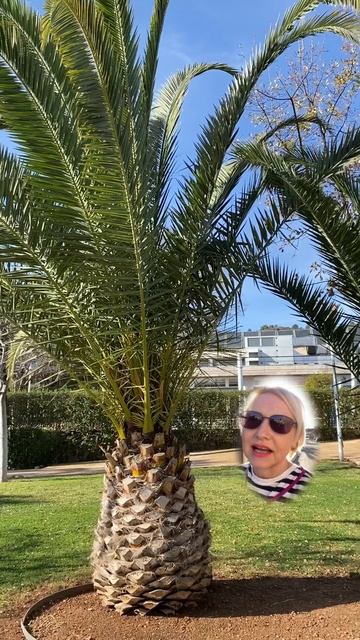 What’s the weather like in your region?
Про хорошую погоду по-английски. смотреть онлайн