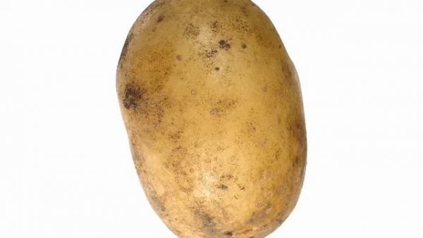 Бульба крутится 1 час