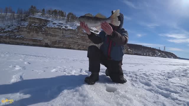 ЗИМНИЙ ТРОФЕЙ: ПОГРУЖЕНИЕ В ГЛУБИНЫ СУДАКА смотреть онлайн