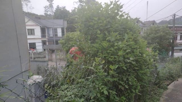 [7207]Xe Dongfeng Kinland D320 6X4 смотреть онлайн