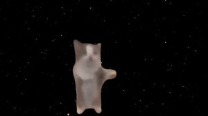 Happy Happy Happy Cat 1 hour loop