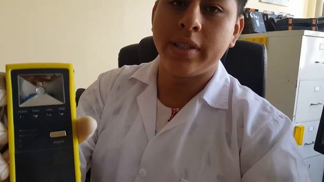 Alcoholímetro ALCOSCAN AL1100F - ALCO & DROG PERÚ SAC