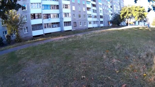 Котобой! - Нашли 21 кота за час смотреть онлайн