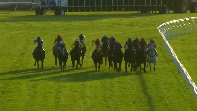 Race 9 - Belmont - 01/06/2024 смотреть онлайн