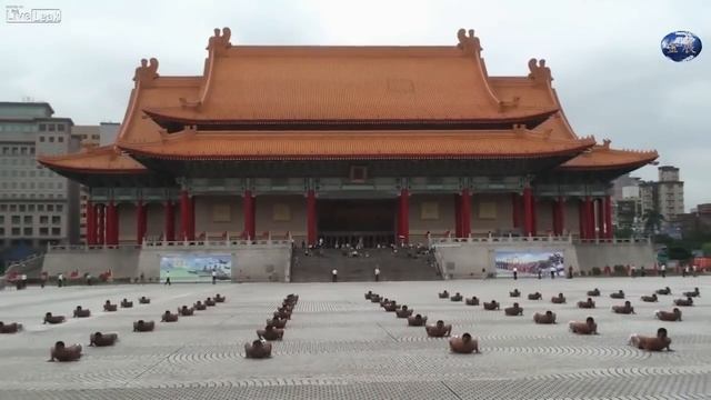 Атака китайских клонов)