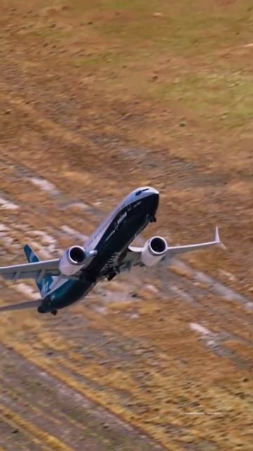 Запрыгнул в небо! смотреть онлайн