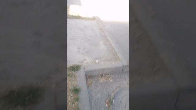 Следим за девочками в 2 часа смотреть онлайн
