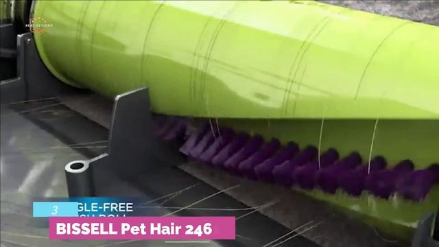 The 5 Best Vacuum for Pet Hair 2021 смотреть онлайн