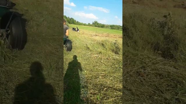 кінна косарка косимо сіно 2021 смотреть онлайн