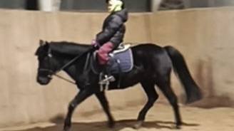 Лера и Наоми онлайн тренировка.