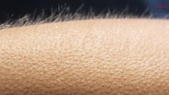 Can A Dead Body Get Goosebumps? 10 AMAZING RANDOM FACTS | FACT LAB смотреть онлайн