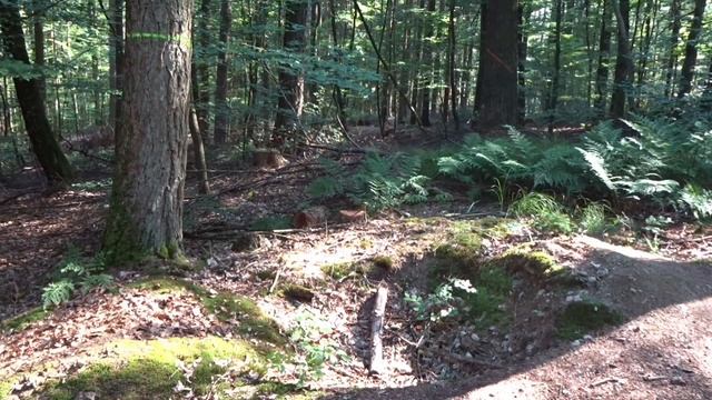 First Testride RockShox ZEB Ultimate смотреть онлайн