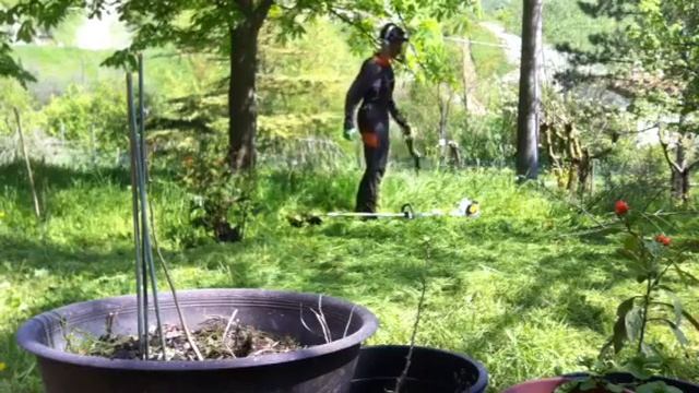 Il contadino Alfredo e il suo compare STIHL F55R смотреть онлайн