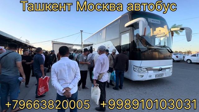 Ташкент Москва автобус расписание 2024 смотреть онлайн