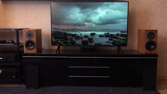 Dynaudio Contour 1.1