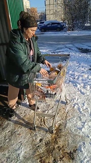 "лишние продукты"с магазина "МАГНИТ" смотреть онлайн