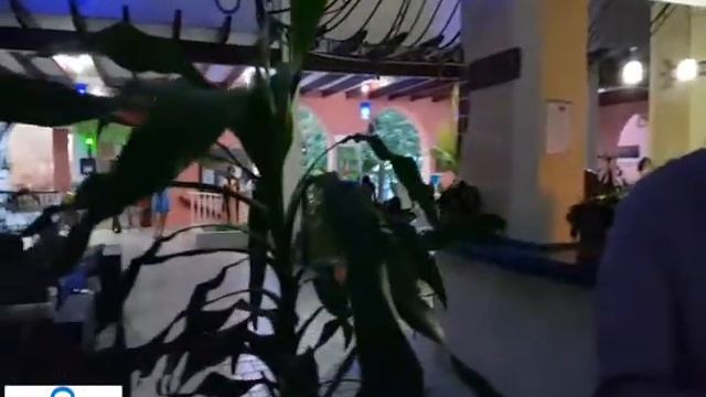 Noche margarita смотреть онлайн