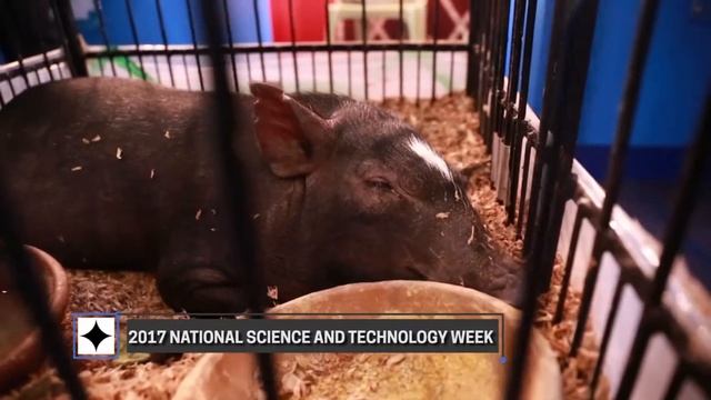 DOSTv Episode 287 - Day 5 Special Coverage of 2017 National Technology Week смотреть онлайн