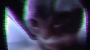 Чипи чипи чапа чапа фонк–ремикс! (33 секунды)