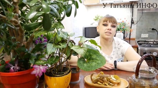 ✔️ НЕ ВЫБРАСЫВАЙ КАРТОФЕЛЬНЫЕ ОЧИСТКИ! / Подкормка из КАРТОФЕЛЯ для КОМНАТНЫХ РАСТЕНИЙ! смотреть онлайн