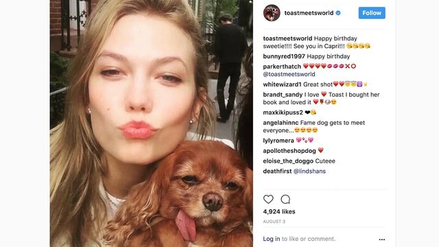 Grumpy Cat, Toast the Dog & Pet Influencers | The Business of Influence | Forbes смотреть онлайн