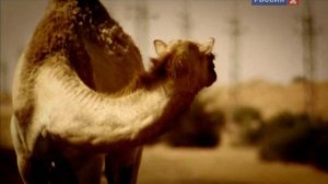 Топ Гир 6 сезон 10 серия  (документальный сериал, 2005)