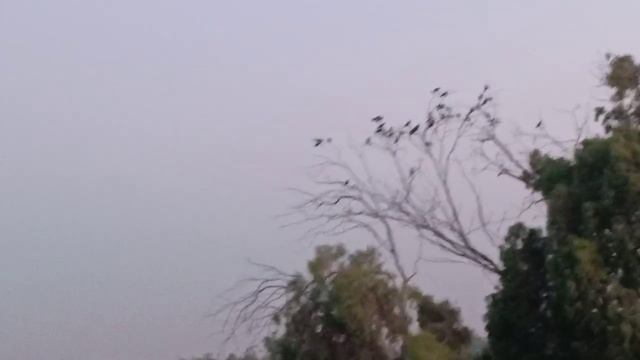 شوفوا غسيل السجاد الل علي حق ( اهي دي الرجاله واللا بلاش ) 😂😂 смотреть онлайн