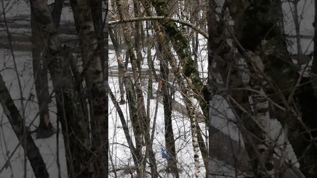02.04.2021. Ул. Болотниковская, д. 40, к. 1 смотреть онлайн