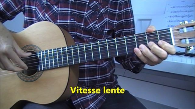 L'oiseau - Zaz -Belle et Sébastien - tuto guitare + Partition смотреть онлайн