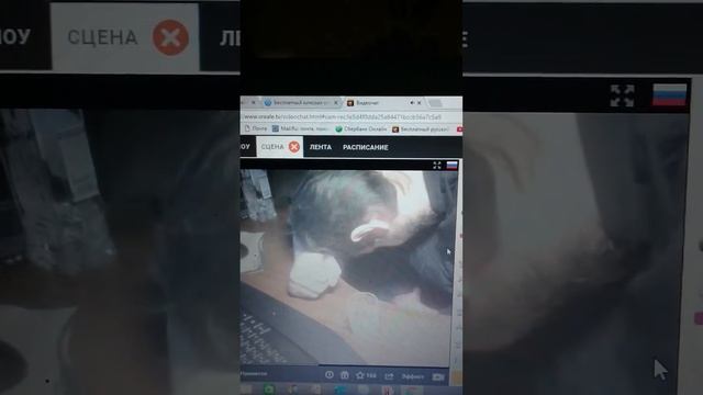 окская тропа смотреть онлайн
