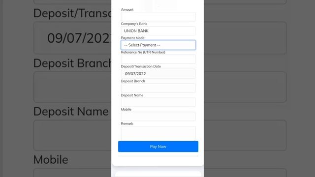 Bright Way -How To Send Money To Company For Id Activation смотреть онлайн